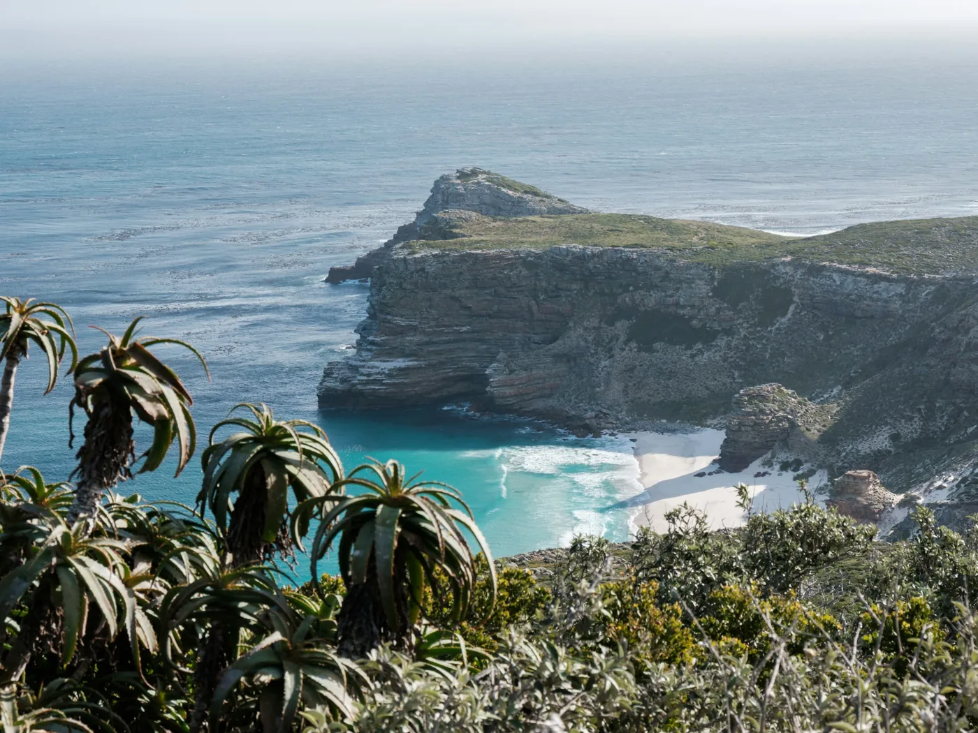 Drsné pobřeží Cape Peninsula